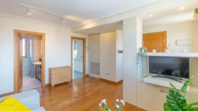 Penthouse at Plaza Felisa Munarriz, 3 photo 14