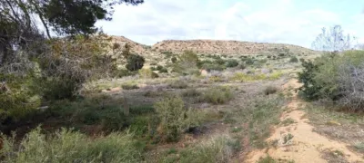 Terreno en venta en Calle Polígono 163 Paraje 416 Las Vallongas - Vista 5