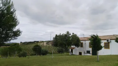 Rustic Finca in Andalucia photo 36