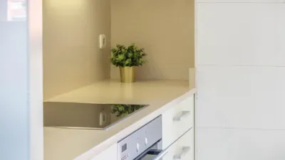 Penthouse at Plaza Felisa Munarriz, 3 photo 30