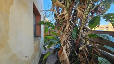 House on Carrer Josep Tarradelles photo 49