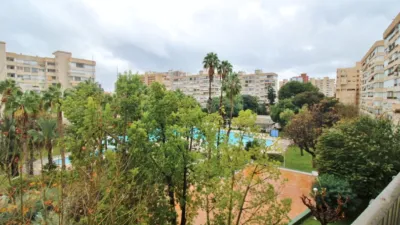 Apartment in Playa de San Juan photo 39