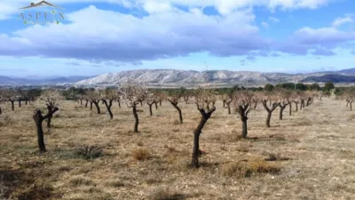 Terreno en venta en Biar - Vista 3