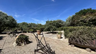 Rustic finca on Calle 0 photo 116