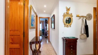 Apartment on Avinguda de Gabriel Alomar photo 22