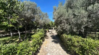 Rustic finca on Calle 0 photo 107