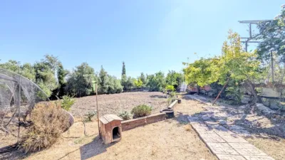 Rustic Finca on Camino de Valenzuela photo 14