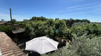 Rustic finca on Calle 0 photo 76