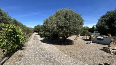 Rustic finca on Calle 0 photo 112