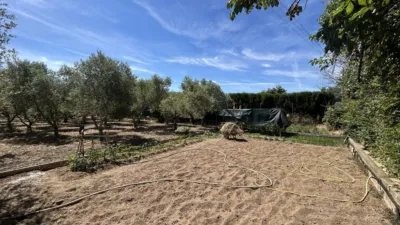 Rustic finca on Calle 0 photo 90