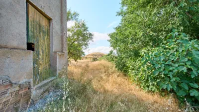 Rustic Finca in Beznar photo 6
