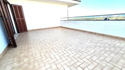 Penthouse in Port D'Alcúdia - Platja d'Alcúdia photo 6