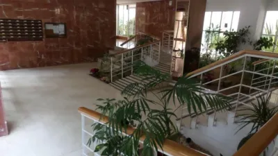 Apartment in Playa de San Juan photo 9