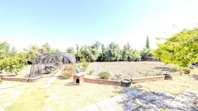 Rustic Finca on Camino de Valenzuela photo 15