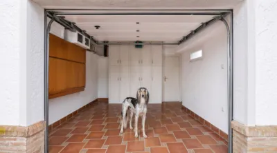 Chalet in Costa Blanca photo 13
