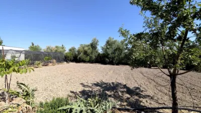 Rustic Finca on Camino de Valenzuela photo 16