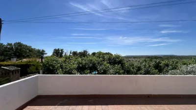 Rustic finca on Calle 0 photo 77