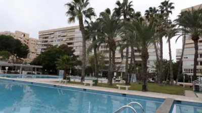 Apartment in Playa de San Juan photo 49
