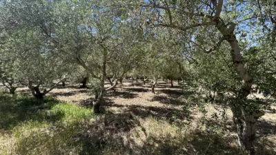 Rustic finca on Calle 0 photo 92