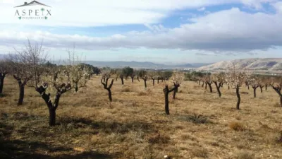 Terreno en venta en Biar - Vista 4