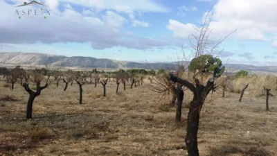 Terreno en venta en Biar - Vista 5
