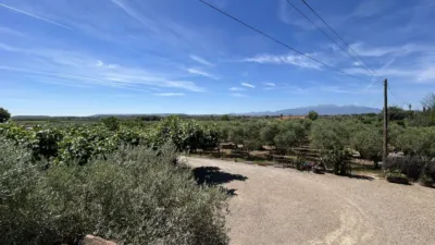 Rustic finca on Calle 0 photo 98