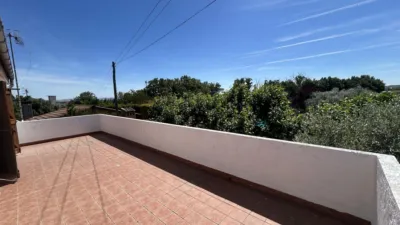 Rustic finca on Calle 0 photo 74