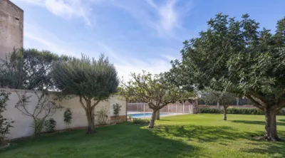 Chalet in Costa Blanca photo 54