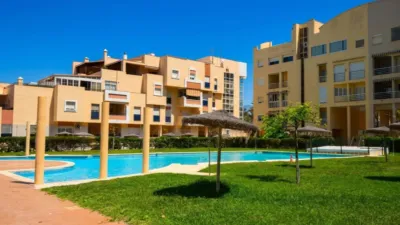 Apartment on the 1st Line of the Beach photo 23