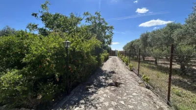 Rustic finca on Calle 0 photo 106