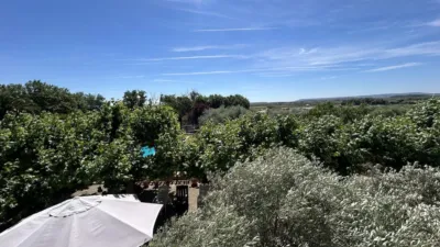 Rustic finca on Calle 0 photo 75