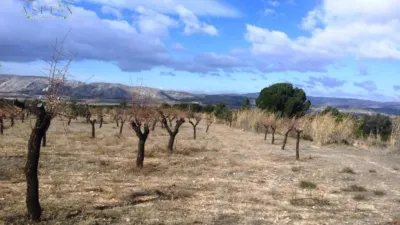 Terreno en venta en Biar - Més