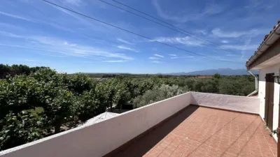 Rustic finca on Calle 0 photo 60