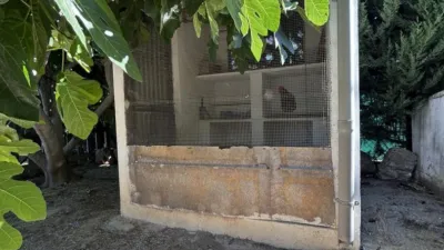 Rustic finca on Calle 0 photo 118