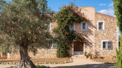 Rustic Finca in Algaida Campo photo 4