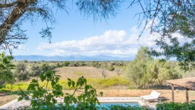 Rustic Finca in Algaida Campo photo 10