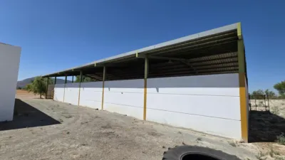 Rustic Finca in Seville photo 31