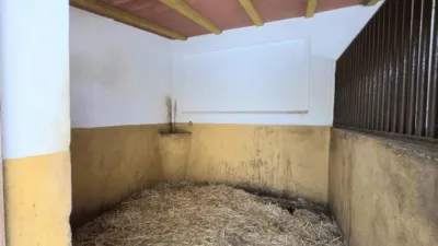 Rustic Finca in Seville photo 18