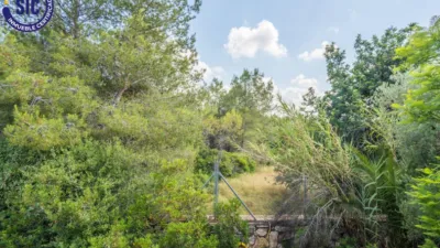 Chalet on Carrer de la Foia de Bunol photo 42