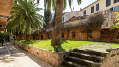 Attic in Sant Jaume photo 36