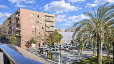 Pis – Elx - Elche - Vista 4