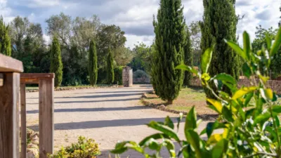 Rustic Finca in Algaida Campo photo 6