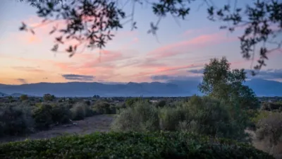 Rustic Finca in Algaida Campo photo 41