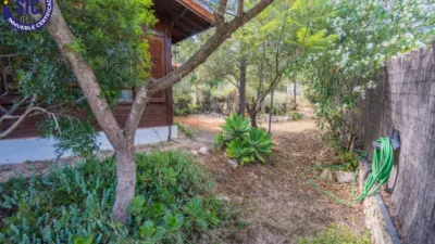Chalet on Carrer de la Foia de Bunol photo 6