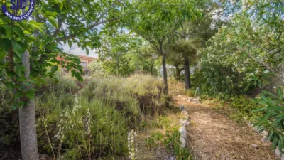 Chalet on Carrer de la Foia de Bunol photo 57