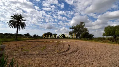Rustic finca on Calle Lugar Derramador photo 26
