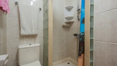 Apartment on Quinto Centenario Street, No. 34 photo 25