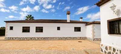 Chalet en Crevillente photo 37