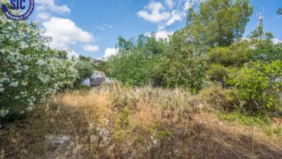Chalet on Carrer de la Foia de Bunol photo 55