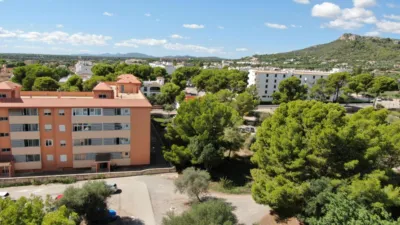 Apartment in Cala Millor photo 10